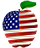 USA Web School logo